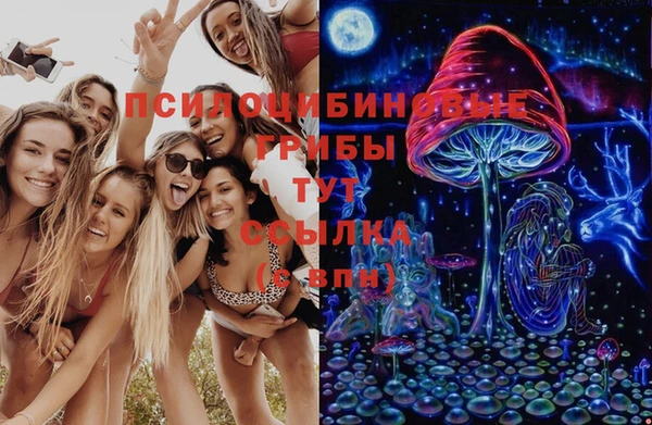 PSILOCYBIN Верхний Тагил